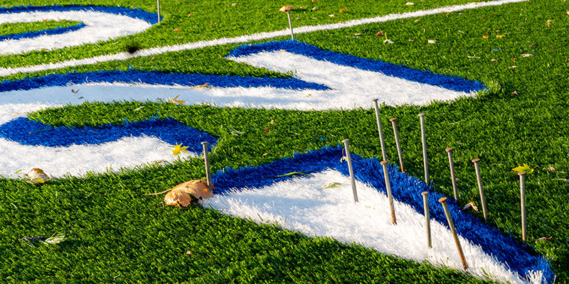 common nails on a sports field